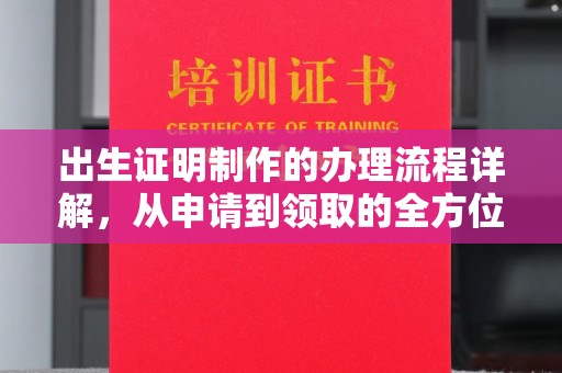 神湾出生证明制作的办理流程详解，从申请到领取的全方位指南