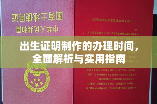 永济出生证明制作的办理时间，全面解析与实用指南